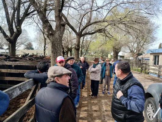 tn_IMG_20240828_112057102_HDR