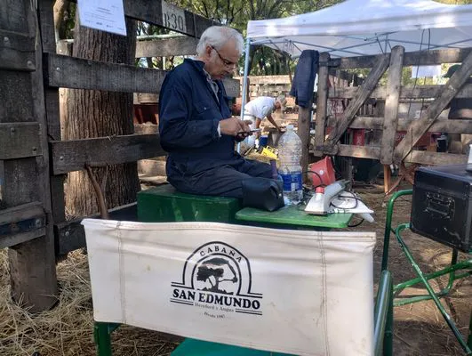 tn_IMG_20250508_150107729_HDR