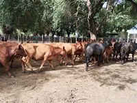 tn_IMG_20240216_153209682