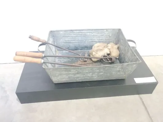 tn_IMG_20241015_185750864