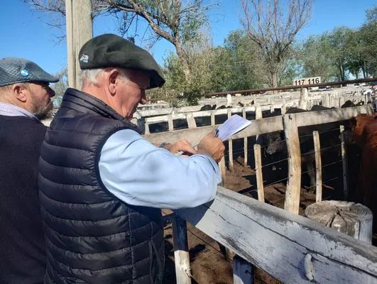 tn_IMG_20250424_143748717_HDR