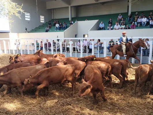 tn_IMG_20240326_151723265