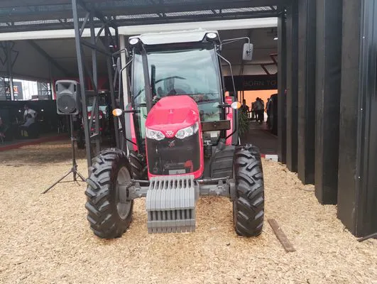 tn_IMG_20250311_150806698