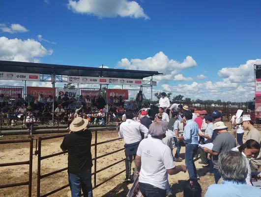 tn_IMG_20250313_150358384