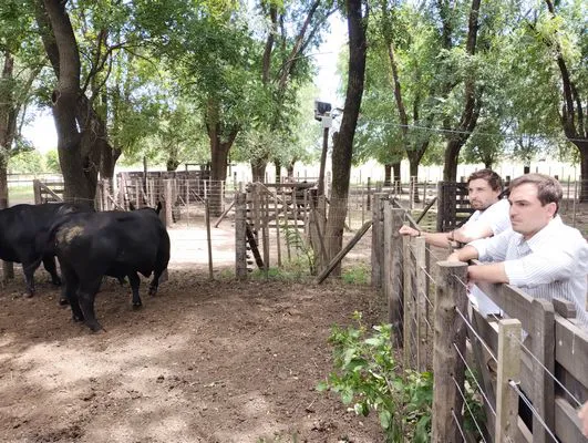 tn_IMG_20241211_115831381