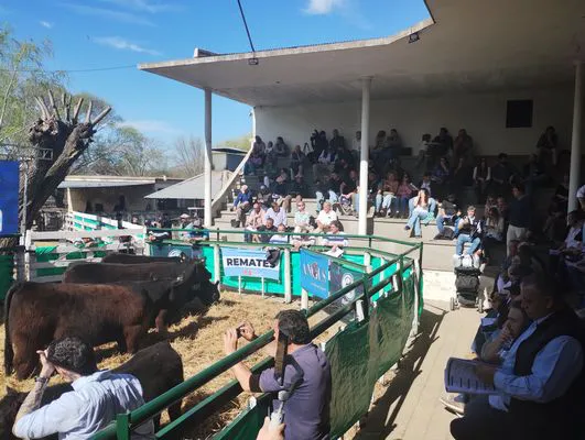 tn_IMG_20240907_144016980