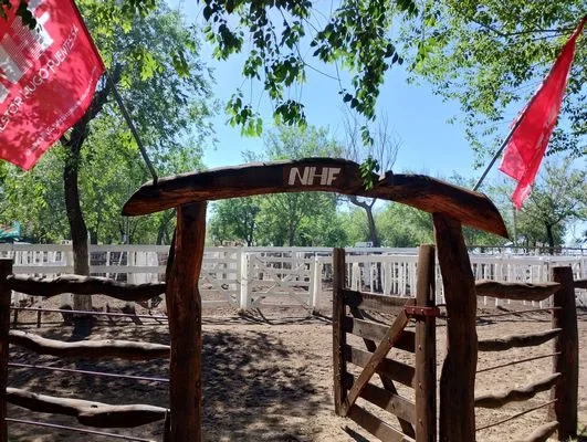 tn_IMG_20241026_103502891_HDR