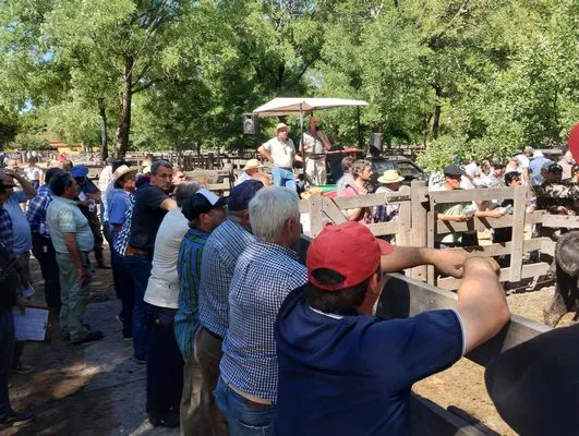 tn_IMG_20241129_155053285_HDR