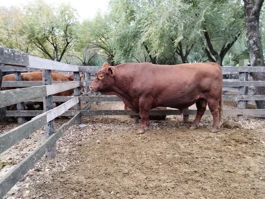 tn_IMG_20240430_151625346