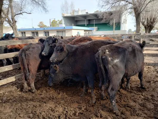 tn_IMG_20240718_151250362_HDR