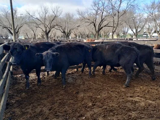 tn_IMG_20240628_143823833_HDR