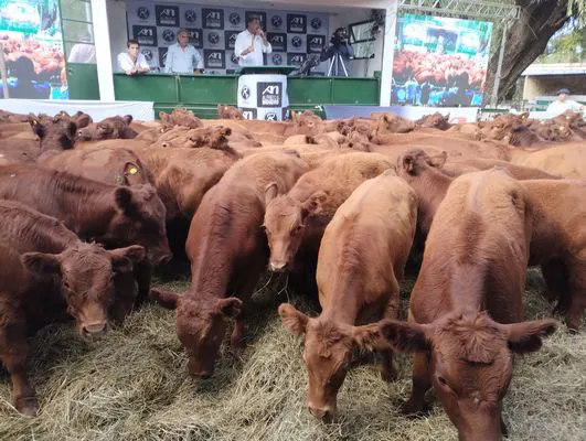 tn_IMG_20240322_160223719