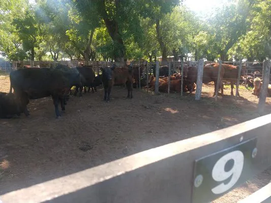 tn_IMG_20231213_094959307