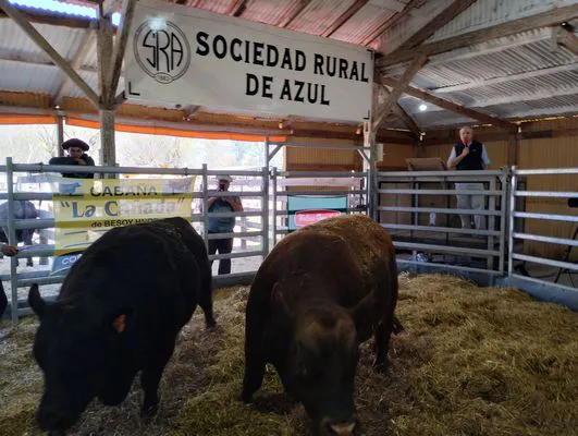 tn_IMG_20240925_115452451_HDR