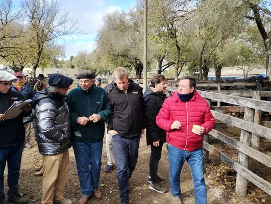 tn_IMG_20240529_121056922_HDR