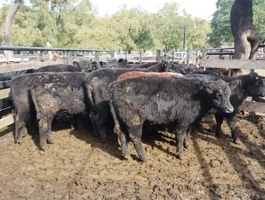 tn_IMG_20250514_125557506