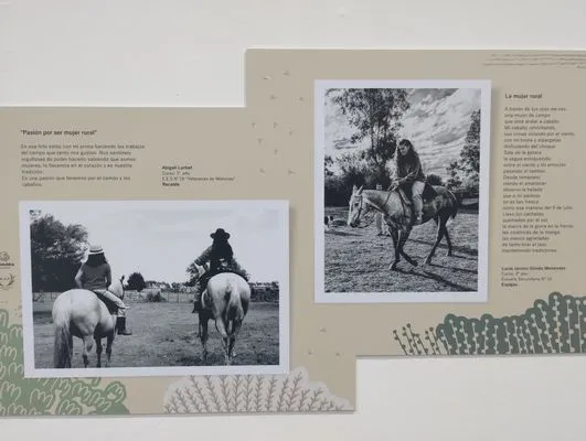 tn_IMG_20241015_185443929