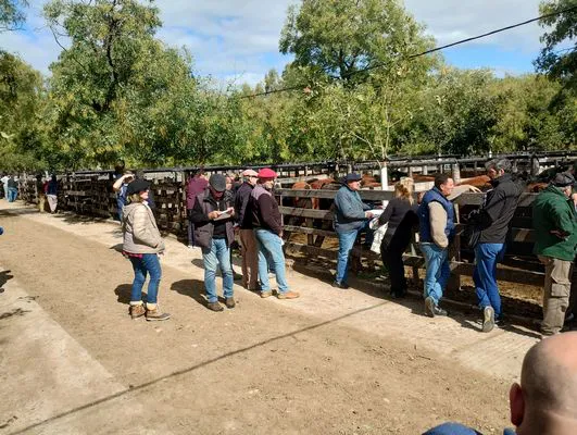 tn_IMG_20250404_144720931_HDR