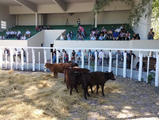 tn_IMG_20240214_154916116