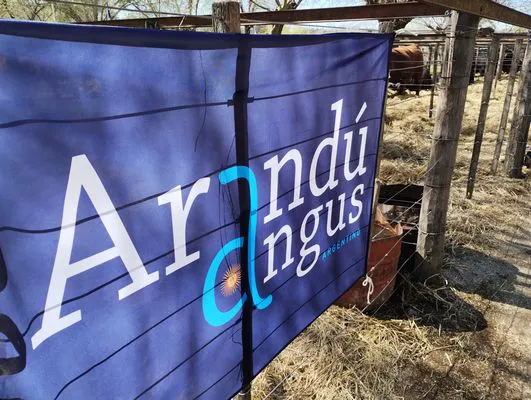 tn_IMG_20240907_113038433