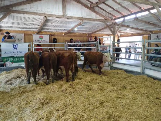 tn_IMG_20240906_160037397