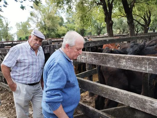 tn_IMG_20240306_153131238_HDR