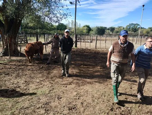 tn_IMG_20240501_112407679_HDR