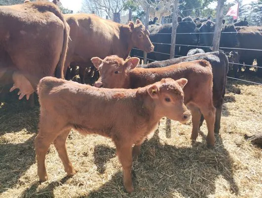 tn_IMG_20240912_135442378