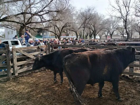 tn_IMG_20240718_153046276_HDR