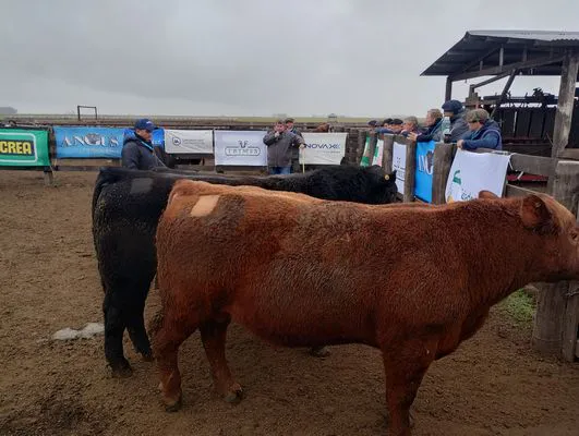 tn_IMG_20240806_114617816_HDR