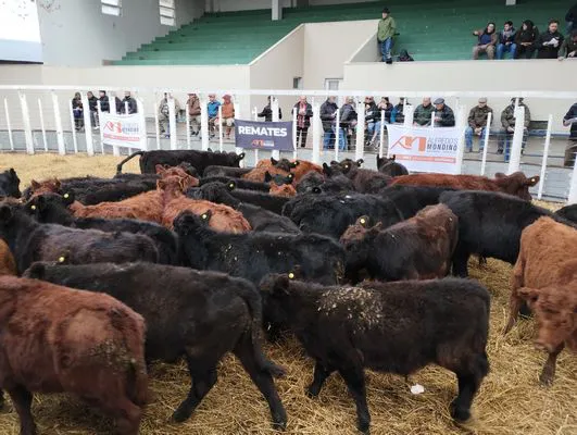 tn_IMG_20240529_140352457_HDR