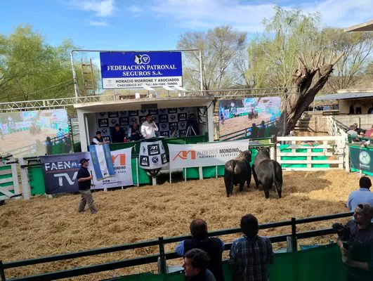 tn_IMG_20240907_163121979_HDR