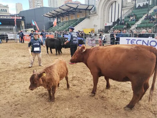 tn_IMG_20250521_112231461