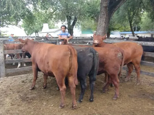 tn_IMG_20240221_122547364