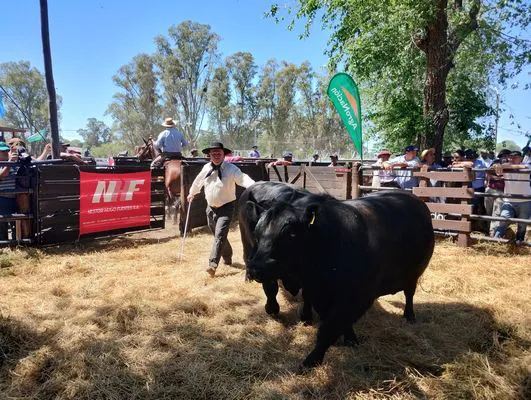 tn_IMG_20241026_144406016_HDR