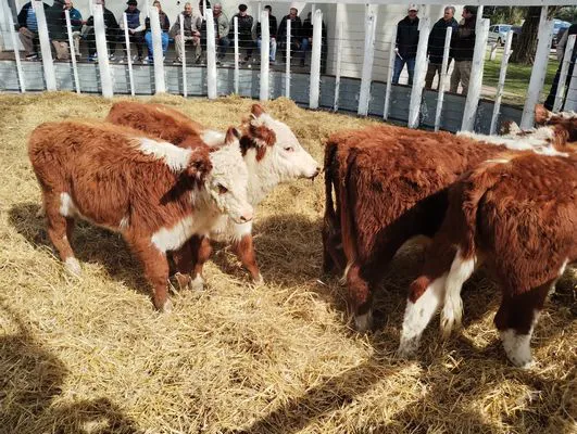 tn_IMG_20240828_124303605