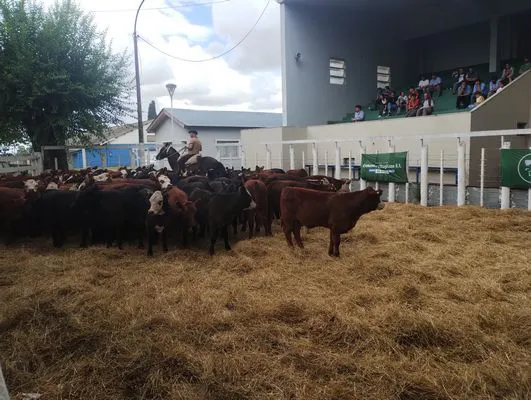 tn_IMG_20250205_154331325