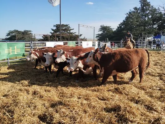 tn_IMG_20240927_164059079