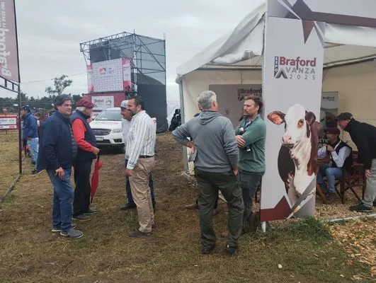 tn_IMG_20250312_101549416