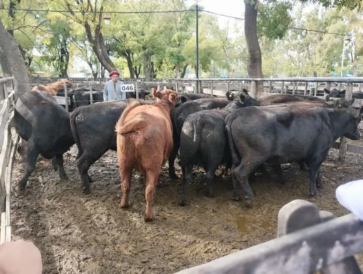 tn_IMG_20250514_124856693_PORTRAIT