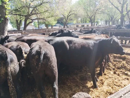 tn_IMG_20241008_145347048