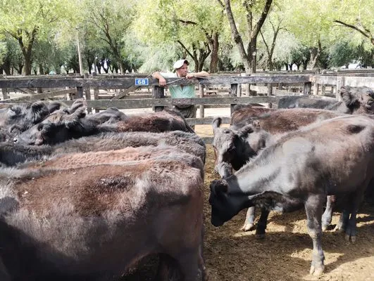 tn_IMG_20240306_154132707