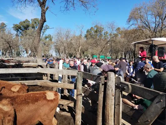 tn_IMG_20240829_150543010