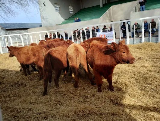 tn_IMG_20240626_132709988_HDR