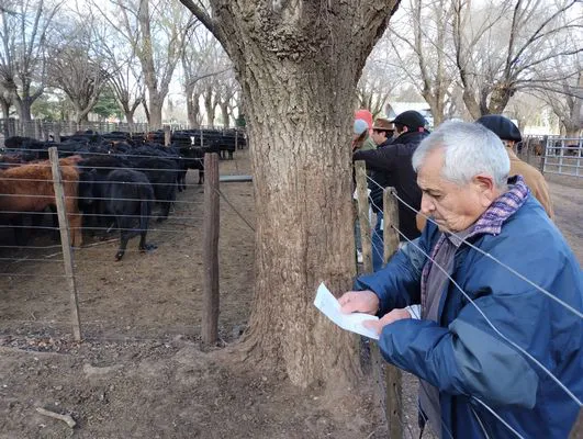 tn_IMG_20240628_155023433