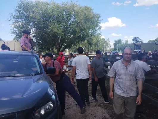 tn_IMG_20250220_153049587