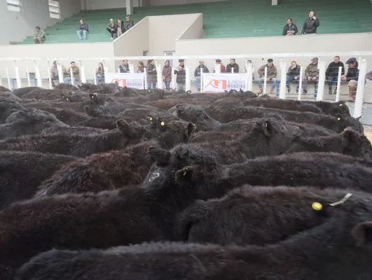 tn_IMG_20240731_124229644_HDR