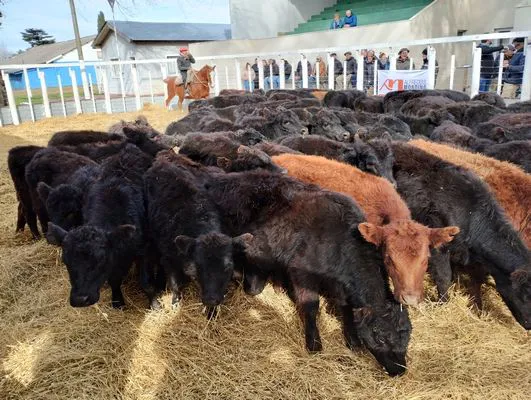 tn_IMG_20240626_134014686_HDR