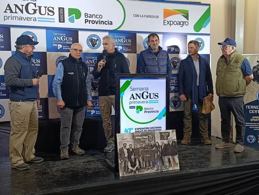 ALVARO15