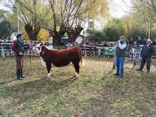 tn_IMG_20240530_142010210